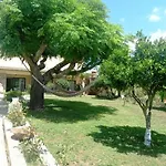 Quinta Aves - Estudio 5 شقة *